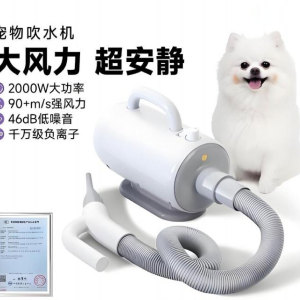 智能宠物吹水机
